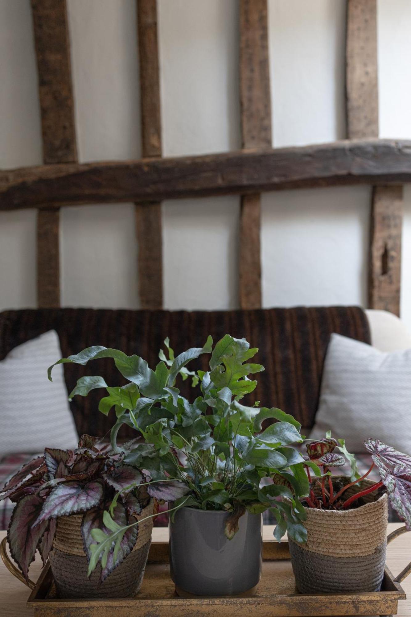 Saltmarsh Farmhouse Westdean Esterno foto
